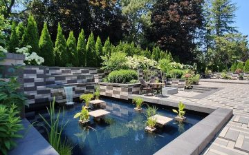 pond and waterfall 2